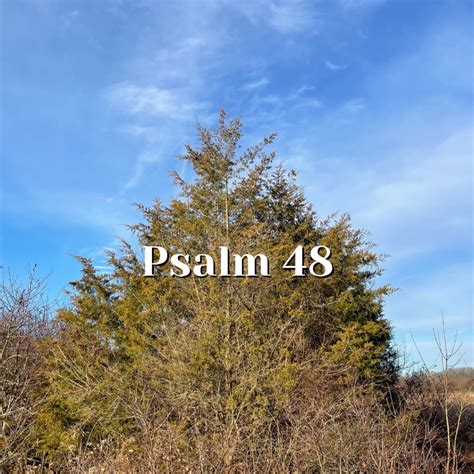 psalm 48 esv|zion in the psalms.